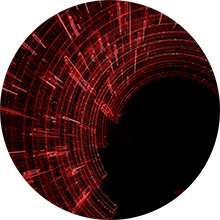 LightSpeed PerfectPatent Hero image